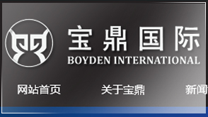 宝鼎国际 